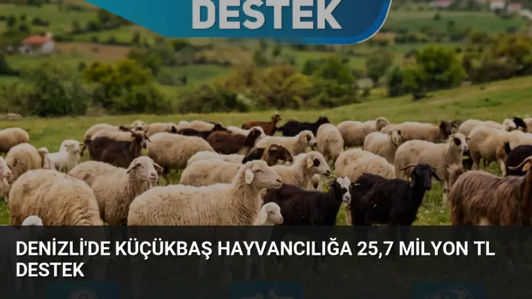 Denizli’de Küçükbaş Hayvancılığa 25,7 Milyon TL Destek