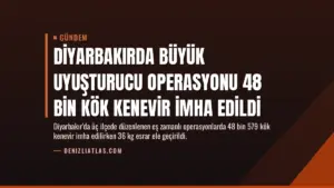 Diyarbakırda Büyük Uyuşturucu Operasyonu 48 Bin Kök Kenevir İmha Edildi