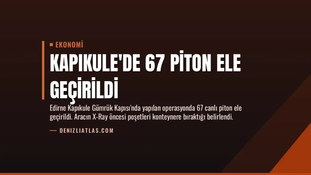Kapıkule'de 67 Piton Ele Geçirildi