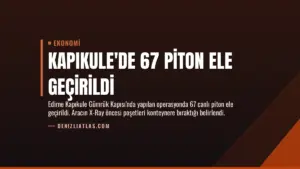 Kapıkule'de 67 Piton Ele Geçirildi